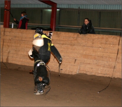 Training in Estonia 11/2007